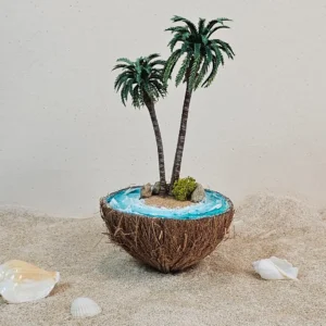 Accueil coco